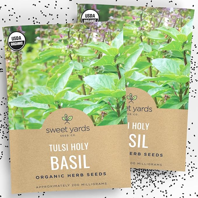 Organic Holy Basil Seeds ‘Tulsi’ – Two Seed Packets! – Over 1,706 Open Pollinated Non-GMO Seeds – Sweet Yards Seed Co.