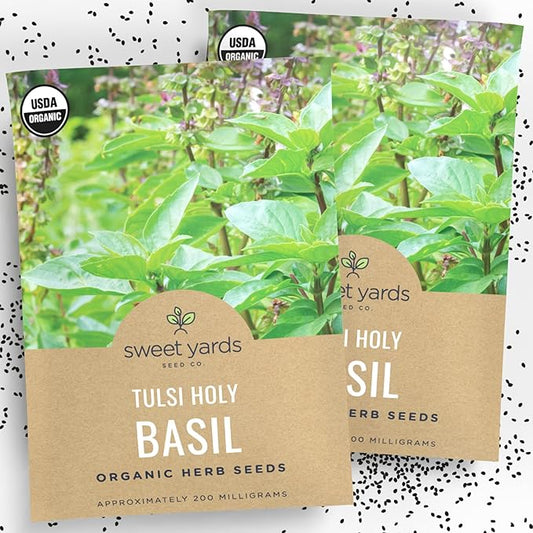 Organic Holy Basil Seeds ‘Tulsi’ – Two Seed Packets! – Over 1,706 Open Pollinated Non-GMO Seeds – Sweet Yards Seed Co.