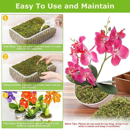 Legigo 1.3LBS Sphagnum Moss for Plants, 25QT Natural Orchid Moss Potting Mix Dired, Green Forest Plant Moss for Orchid Repotting Carnivorous Succulents Indoor Potted Plants Gardening and Reptiles