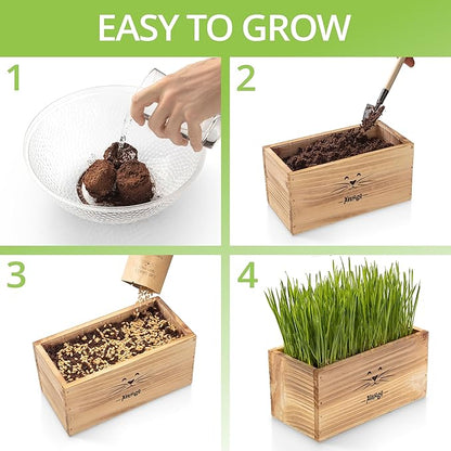 Cat Grass Kit for Indoor Cats – x4 Seed Packets | Cat Grass Seeds with Wooden Planter, Soil & Mini Gardening Tools for Nipping – Pet Wheatgrass Grass