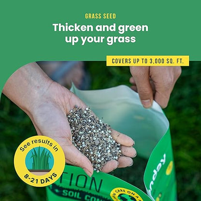 Sunday Sun & Shade 1,500 Sq. Ft. Seed + Feed, Grass Seed + Lawn Fertilizer - 2 Pack, 10 lb