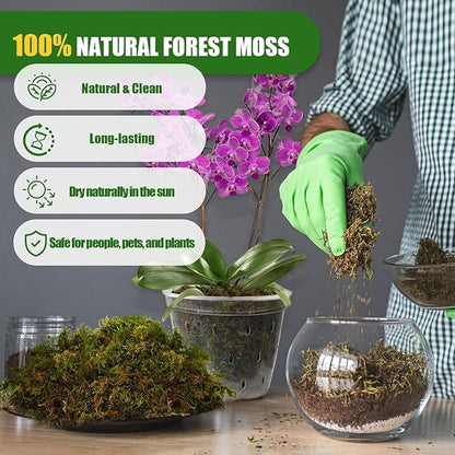 Dried Forest Moss for Plants (15 qt / 3 pcs), Sphagnum Potting Moss for Various Plants, Including Orchids, Carnivorous Plants, Succulents, Garden Flowers, and Reptiles