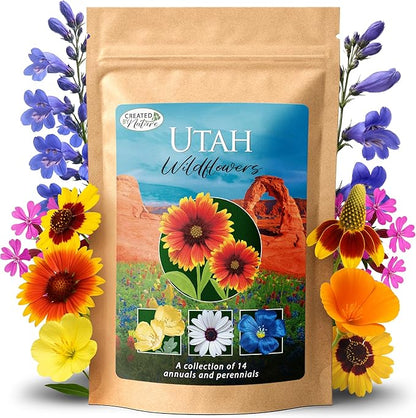 Created By Nature Utah Wildflower Seed Mix, 14 Flower Varieties, 53,000 Seeds