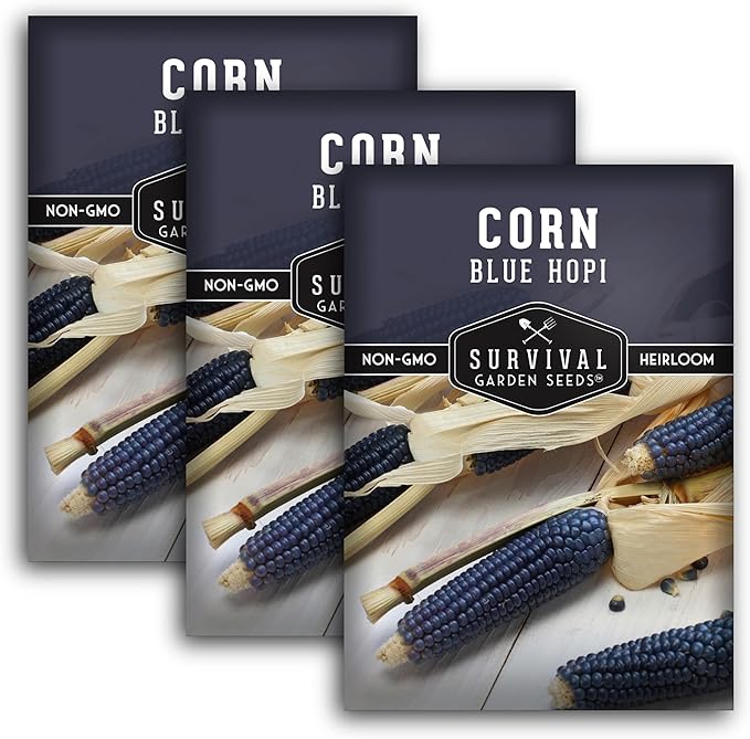 Blue Hopi Corn Seeds for Planting - Plant & Grow Heritage Blue Maize in Your Home Vegetable Garden - Non-GMO Heirloom Variety - Survival Garden Seeds (3 Packs)