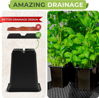 CARPATHEN 64Pack Square Nursery Pots - 2.4 Inch Plastic Seedling Pots with Drainage Holes - Reusable Seed Starter Pots for Plants, Succulent, Flowers, Vegetables - Plant Starter Pots and Sticker Label
