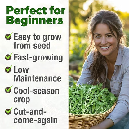 HOME GROWN Non GMO Arugula Roquette Seeds Pack 2,175 Heirloom Arugula Seeds for Planting Best for Outdoor Gardens,Providing Fast-Growing Greens for Salads - Eruca vesicaria