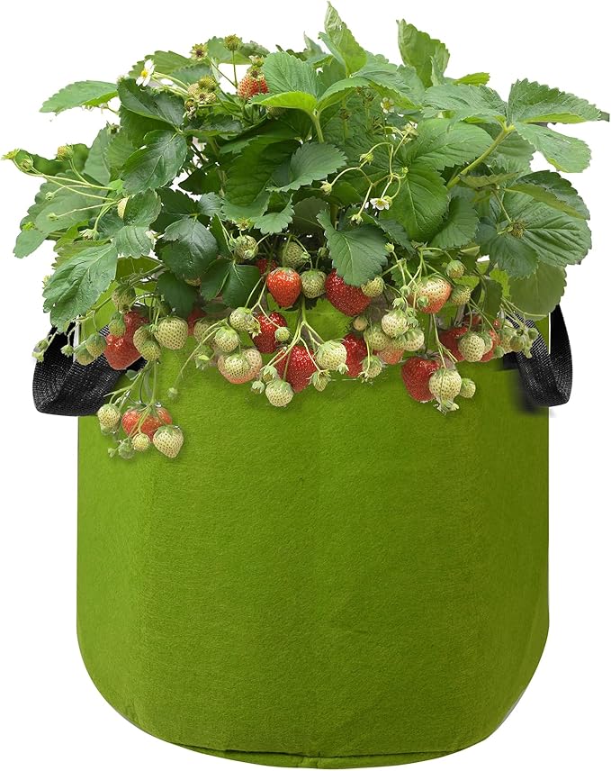Grow Bags, Aeration Fabric Pots with Handles, Pot for Plants-5 of Pack (5 Gallon-Green)