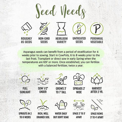 Seed Needs Asparagus Seeds for Planting Mary Washington Asparagus - Non-GMO Heirloom & Untreated Perennial Vegetable Seed to Plant an Outdoor Home Grown Garden (1 Pack)