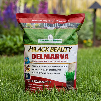 Jonathan Green (10391) Black Beauty Delmarva Grass Seed (Made for Maryland, Delaware, Virginia) - Cool Season Lawn Seed (7 lb)