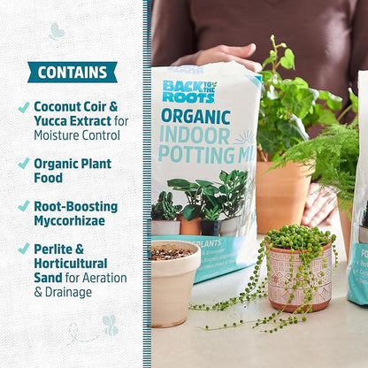 Back to The Roots 100% Organic Indoor Potting Mix (6 Quart), Promotes Healthy Houseplant Growth, Made in The USA