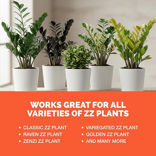 ZZ Plant Fertilizer for All Zamioculcas Plants, Liquid Plant Food 8 oz (250mL)