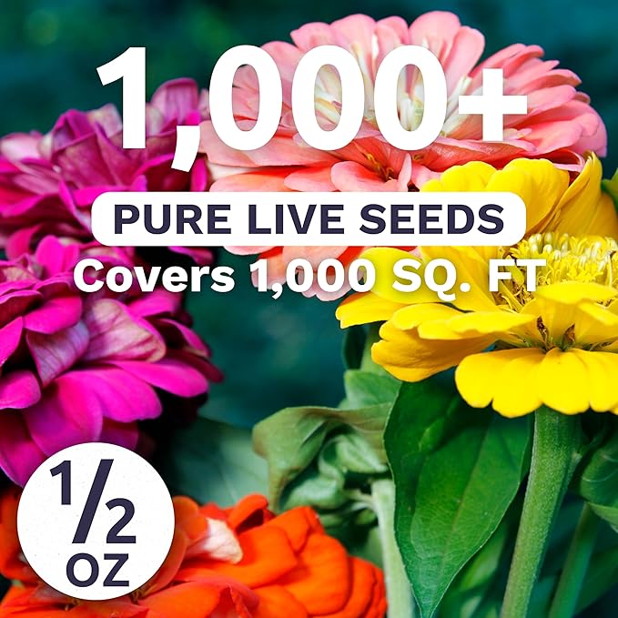 Zinnia State Fair Mix – Large 1/2 Ounce Seed Packet – 1,000 Flower Seeds for Planting