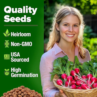 HOME GROWN Non GMO Cherry Belle Radish Seeds 800+ Heirloom Vegetable Seeds for Planting Outdoors Harvest in 30 Days Red Radishes, Spring and Fall Garden(Raphanus Sativus)