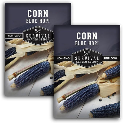 Blue Hopi Corn Seeds for Planting - Plant & Grow Heritage Blue Maize in Your Home Vegetable Garden - Non-GMO Heirloom Variety - Survival Garden Seeds (2 Packs)