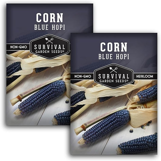 Blue Hopi Corn Seeds for Planting - Plant & Grow Heritage Blue Maize in Your Home Vegetable Garden - Non-GMO Heirloom Variety - Survival Garden Seeds (2 Packs)