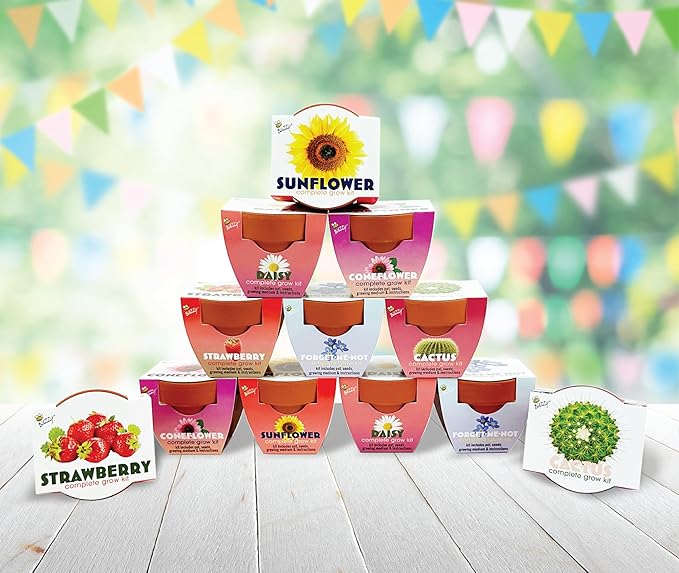 BUZZY Seeds Terracotta Mini Grow Pots 12-Pack – All-in-One Flower Kits with Growing Medium, Sunflower, Daisy, Coneflower, Strawberry, Forget-Me-Not, and Cactus Seeds, DIY Plant Starter Collection