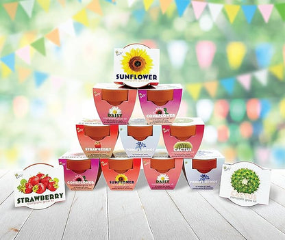 BUZZY Seeds Terracotta Mini Grow Pots 12-Pack – All-in-One Flower Kits with Growing Medium, Sunflower, Daisy, Coneflower, Strawberry, Forget-Me-Not, and Cactus Seeds, DIY Plant Starter Collection