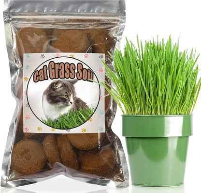 Organic Potting Soil for Indoor Cat Grass, Great Seedling Soil for Wheat Grass, Bermuda, Catnip, and All Indoor Herb Plants