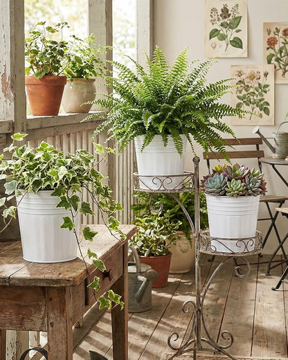 6 Inch White Metal Rustic Flower Pots - 6Pcs Galvanized Planters with Drainage Hole and Rubber Plug, Rustproof Metal Bucket Plant Pots Farmhouse Vintage Style for Decor