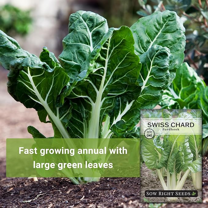 Sow Right Seeds - Fordhook Swiss Chard Seed for Planting - Non-GMO Heirloom Packet with Instructions to Plant and Grow an Outdoor Home Vegetable Garden - Nutritious, Flavorful - Great Gift (4)