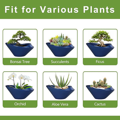 Bonsai Tree Pot 13 Inch - Ceramic Succulent Pots Large Bonsai Planter for Indoor Outdoor Plants Decorative Plant Pot with Drainage Hole Flower Pot for House Garden Room Home Decor Blue