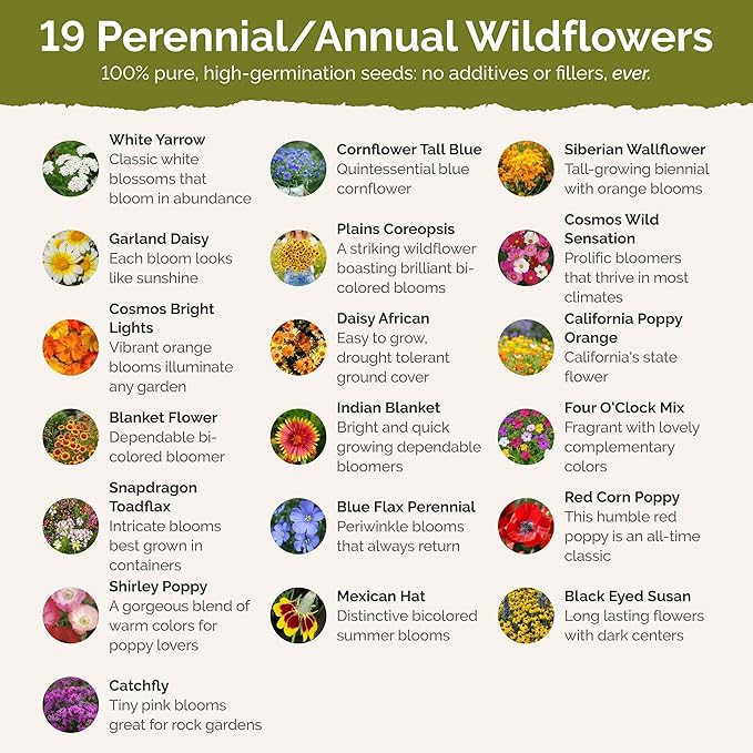 Eden Brothers New Mexico Wildflower Mixed Seeds for Planting, 1/4 lb, 120,000+ Seeds with Yarrow, Coreopsis | Attracts Pollinators, Plant in Spring or Fall, Zones