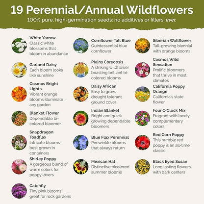 Eden Brothers Arizona Wildflower Mixed Seeds for Planting, 1/4 lb, 120,000+ Seeds with Yarrow, Cosmos, Indian Blanket | Attracts Pollinators, Plant in Spring or Fall, Zones