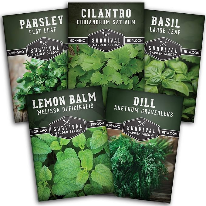 Easy to Grow Herb Seeds Variety Pack | 5 Heirloom Kitchen Herbs for Planting – Basil, Cilantro, Dill, Parsley, Lemon Balm – Indoor & Outdoor Growing for Kids & Beginners – Survival Garden Seeds