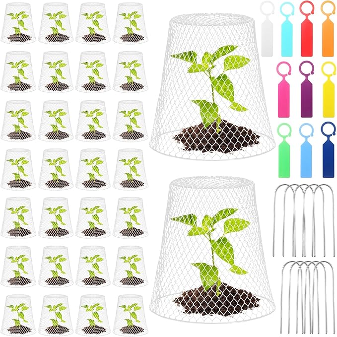 Geosar 30 Pcs 9 inch Chicken Wire Cloche Plant Protector Cover Metal Garden Cloche Dome for Plants Chicken Wire Protection Basket with Garden Stakes for Avoiding Rabbit Bird Small Animals Eat (White)