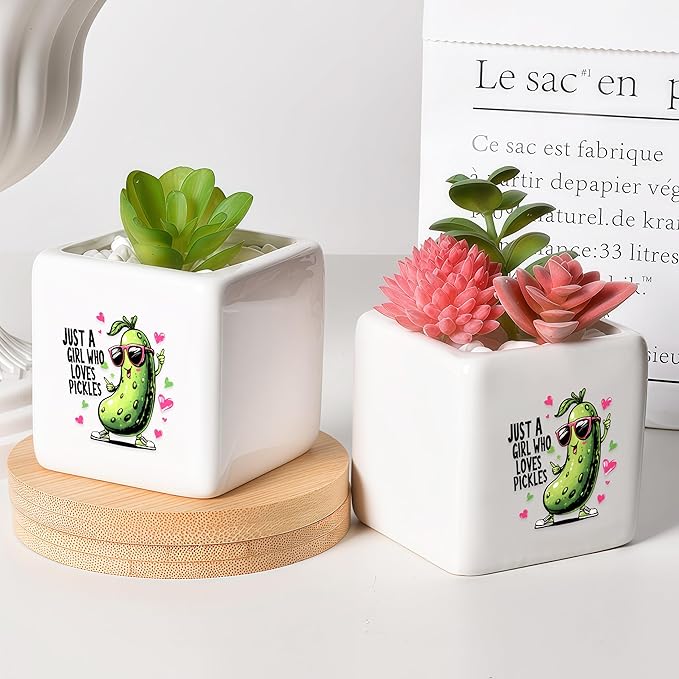 Pickle Succulent Planter Flower Plant Pot Small, Gifts for Women Teens Girls Kids, Pickle Lovers Themed Stuff Accessories Things Decor Merch, Home Office Table Desk Decoration!