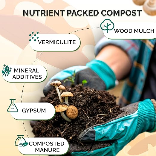MycoHaus Compost for Mushroom Growing | Sterilized Substrate for Mushrooms | Mushroom Soil Organic | Home Cultivation Supplies | 10 Pound (1 Pack)