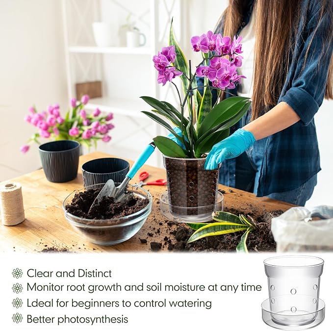 Baderke 1 Pcs Orchid Pot with Drainage Holes and Tray Transparent Glass Pot Planter for Orchids Flower Repotting Anti Slip Glass Plant Vase for Indoor Outdoor Home Decor (6 Inch)