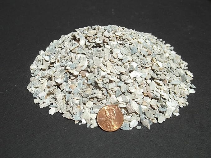 Crushed Oyster Shell, MEDIUM Dyna Rock Cactus Cacti Seedling Soil Media 20 Lb Bag