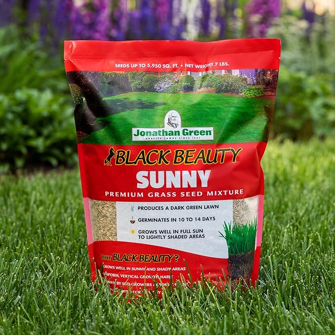 Jonathan Green (10870) Black Beauty Sunny Grass Seed - Cool Season Lawn Seed (25 lb)