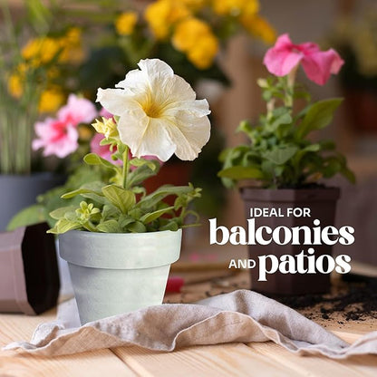 12pcs Mini White Pots – Small White Pots for Indoor or Outdoor Plants, Mini Planters for Flowers and Greenery, for Plant Lovers