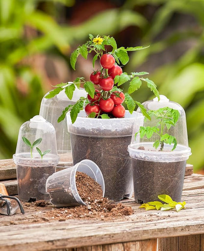 homenote Clear Nursery Pots for Plants,4 Inch Plant Pot for Planting with Humidity Domes Plastic Seedling with Drainage Holes Seed Starter Flower High Transparency (30 Pack)