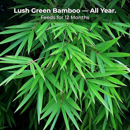 Bamboo Special 12 Month Control Release 13-5-11 High Nitrogen Fertilizer - 2 Pound Package