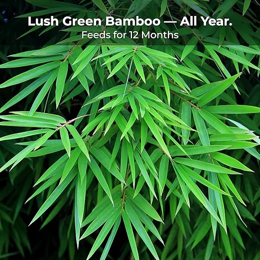 Real Growers Bamboo Special 13-5-11 – 12-Month Slow-Release Fertilizer for Outdoor Clumping Bamboo – 18 lb