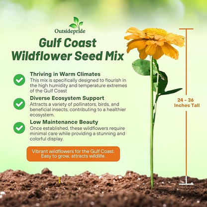 Outsidepride Gulf Coast Wildflower Seed Mix - 1 lb Perennial & Annual Wild Flowers for Full Sun & Partial Shade - Ideal for Pollinator Gardens & Vibrant Landscapes for Southern Florida & Texas