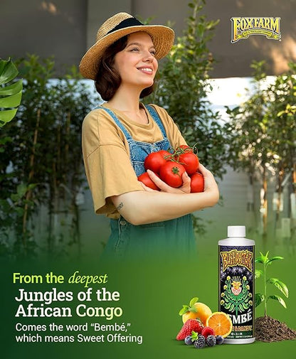 FoxFarm Bush Doctor Bembé Sweet & Dandy Liquid Plant Fertilizer - Boosts Plant Sweetness & Soil Microbes, Complex Nutrient Blend - 0-1-3 PK Fertilizer for In-Ground & Hydroponic Gardens - 1 Pint