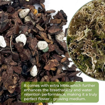 Organic Orchid Potting Mix, Mixture of Perlite, Pine Bark, Volcanic Rock, Coconut Coir, Pine Needle Soil, and 7 Other Components+Orchid Sphagnum Moss (1 QT)
