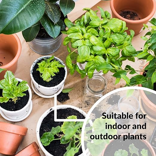 SUPERthrive Plant Vitamin Solution 4 oz. + Organic 4-4-4 All-Purpose Fertilizer Set, 2 Pack