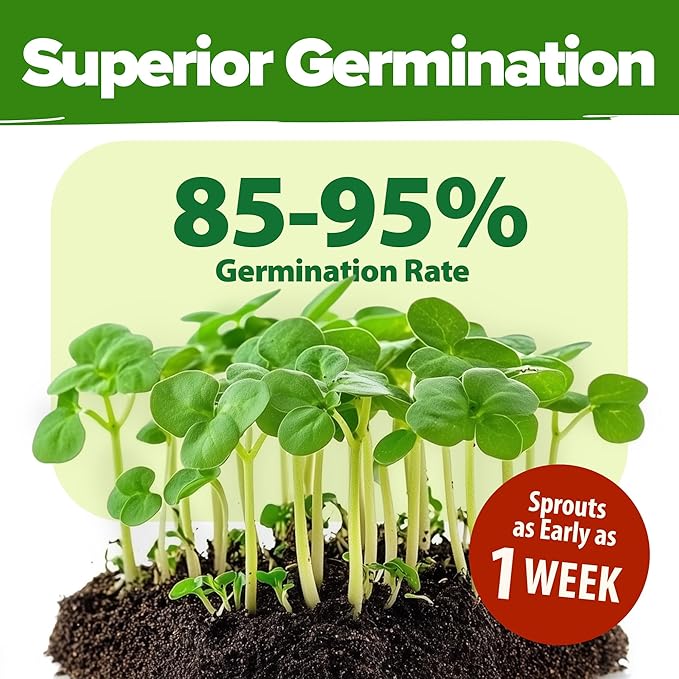 HOME GROWN 70 Variety Vegetable & Herb Seeds 32,000+ USA Non-GMO Heirloom Survival Seeds Garden Kit for Spring, Fall, Winter Indoor & Outdoor Planting Starter Set for Home Gardeners & Preppers