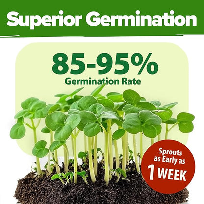 HOME GROWN 70 Variety Vegetable & Herb Seeds 32,000+ USA Non-GMO Heirloom Survival Seeds Garden Kit for Spring, Fall, Winter Indoor & Outdoor Planting Starter Set for Home Gardeners & Preppers