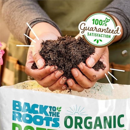 Back to The Roots 100% Organic Potting Mix (6 Quart) Premium Blend Made in The USA