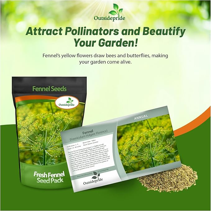 Outsidepride 1 oz. Annual Foeniculum Vulgare Fennel Herb Garden Seeds for Planting