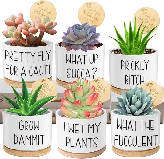 Succulent Pots 6 Pack, 3.15” Ceramic Funny Succulent Planters with Drainage and Bamboo Tray, Small Plant Pots with Plant Labels for Indoor Outdoor Plant, Birthday Gifts for Women - Plants Not Included