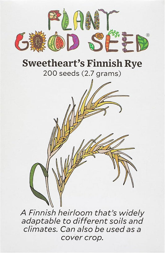 Plant Good Seed Organic Sweethearts Finnish Rye - Pack of 200 Heirloom Seeds for Planting Vegetables - Gardening Supplies, Grain Sprouting Seeds - Non-GMO, Open Pollinated, from USA