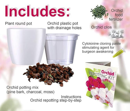 SMEREKA Orchid Repotting Kit with 6-Inch Clear Slotted Pots, Premium Potting Mix, Fertilizer, Cytokinin Paste, and Supportive Clips for Healthy Indoor Orchid Growth
