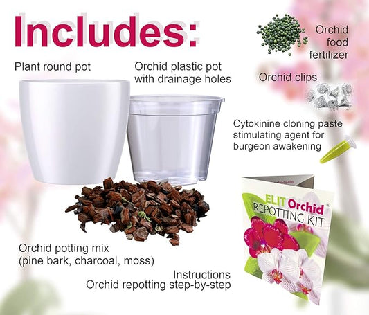 SMEREKA Orchid Repotting Kit with 6-Inch Clear Slotted Pots, Premium Potting Mix, Fertilizer, Cytokinin Paste, and Supportive Clips for Healthy Indoor Orchid Growth